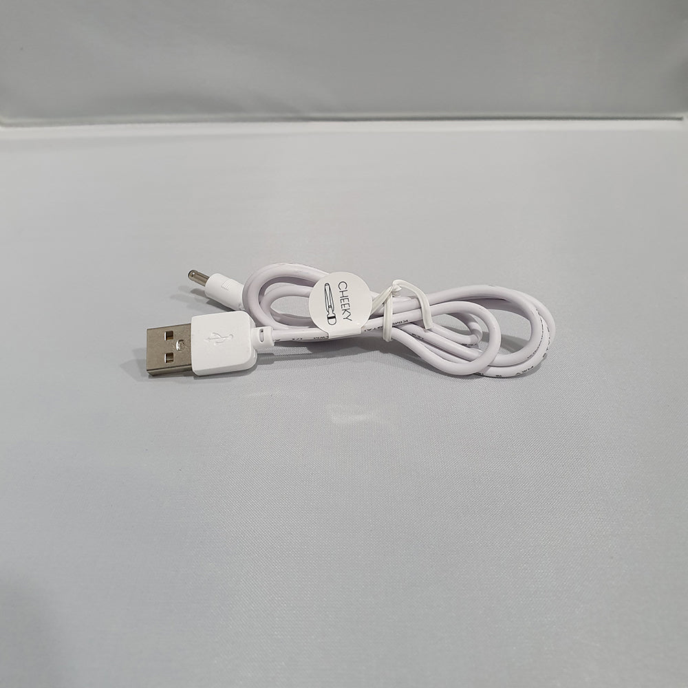 Pillow Talk Cheeky Charger