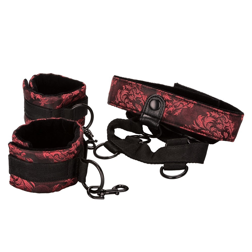 Scandal Collar Body Restraint Red