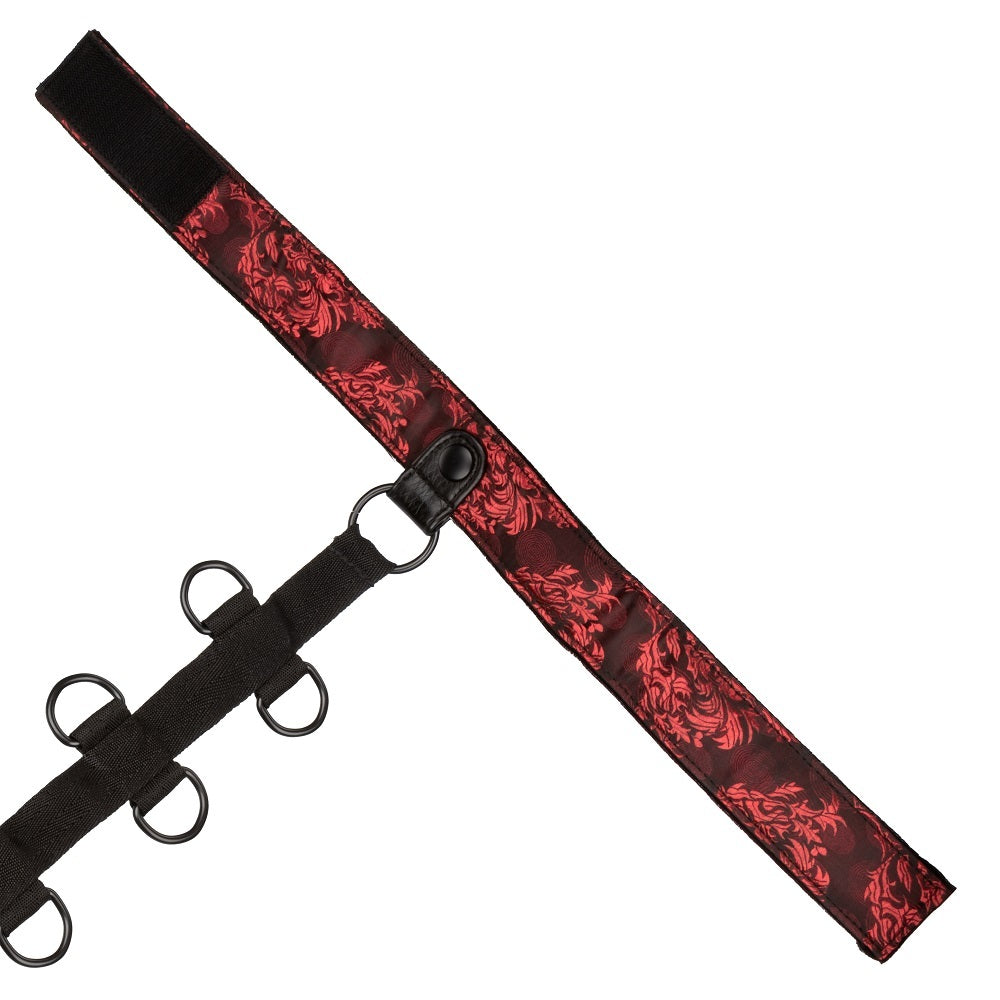 Scandal Collar Body Restraint Red