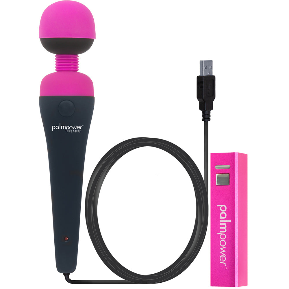 PalmPower Plug and Play